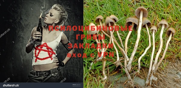 mdma Козельск